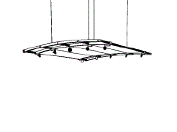 Exponents luminents